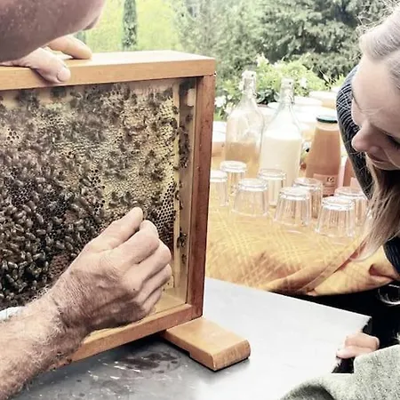 Podere San Giorgio * Palaia