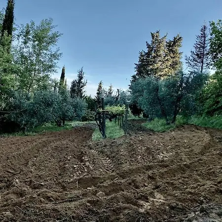 Podere San Giorgio Alojamento de Turismo Rural *