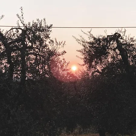 Podere San Giorgio * Palaia
