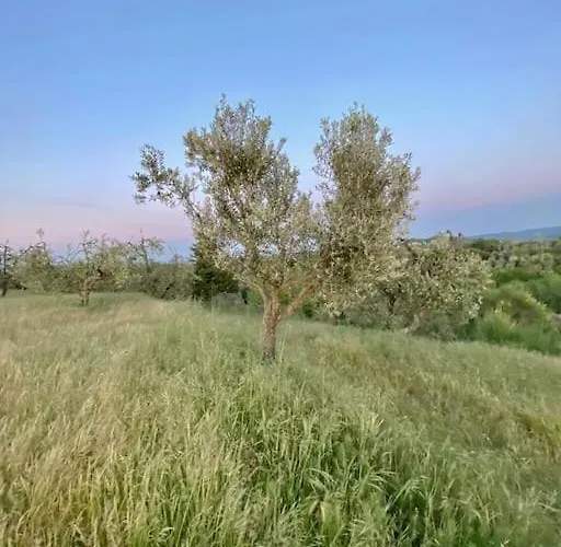 בית חווה Podere San Giorgio *