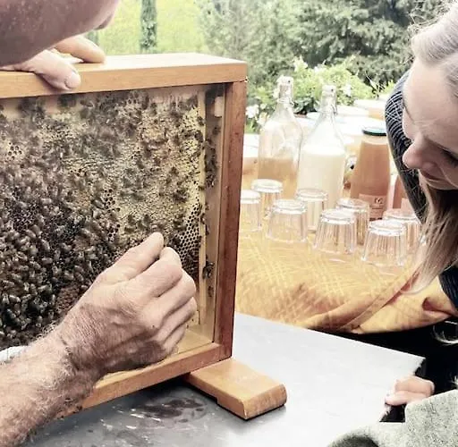 Podere San Giorgio * פאלאיה