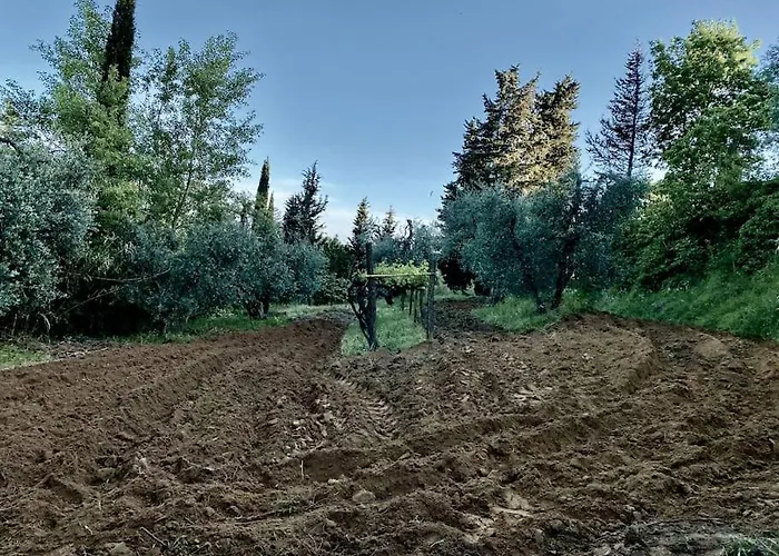 Podere San Giorgio בית חווה *