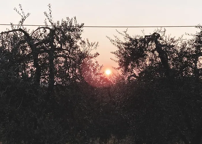 Podere San Giorgio * פאלאיה